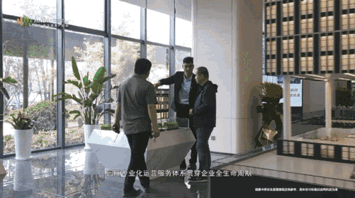 3.gif 3.gif